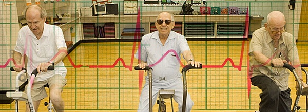 máy tập thể dục cho người cao tuổi