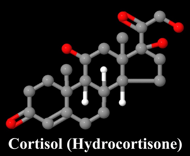 Cortisol là gì