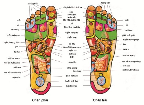 12 lý do để massage chân mỗi ngày